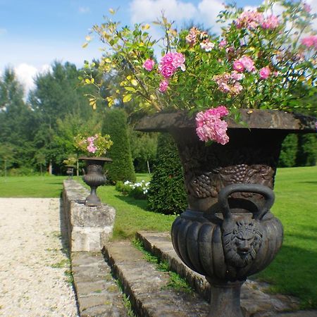 Chateau De Pommeuse المظهر الخارجي الصورة